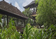 Others 5 Citrus Tree Villas Jean Francois