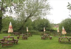 Lain-lain 2 Swan at Stoford (The)