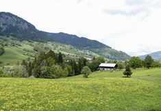 Lainnya 6 Chalet With 5 Bedrooms in Praz-sur-arly, With Wonderful Mountain View,