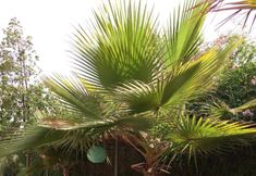 Others 5 Villa With 4 Bedrooms in Oulad Teima, With Wonderful Mountain View, Pr