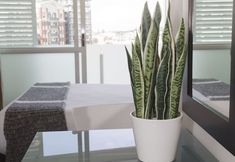 Lain-lain 6 TOWNY - Studio Apartment with Sea Views