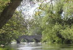 Lain-lain 5 Swan at Stoford (The)