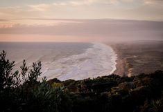 Others 5 Muriwai Beach Memories