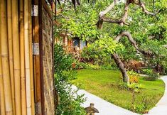 Others 5 Better view koh yao yai