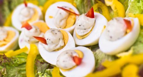 기타 2 Ivbergs Hotel Messe Nord