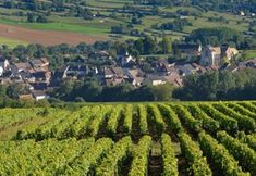 Others 7 House With 3 Bedrooms in Cormot-le-grand, With Enclosed Garden and Wif