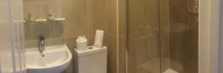 Lain-lain Swan at Stoford (The)