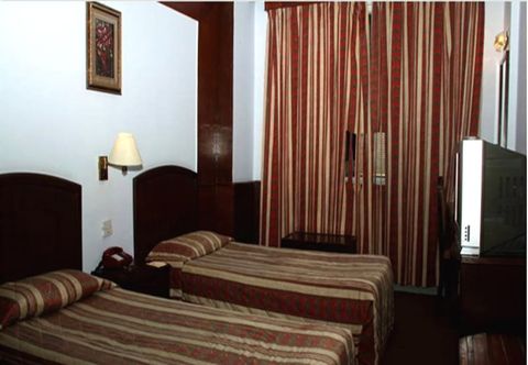 อื่นๆ Lion