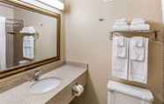 Toilet Kamar 3 Quality Inn & Suites Downtown