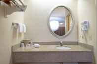 In-room Bathroom Red Roof Inn Detroit - Dearborn/Greenfield Village