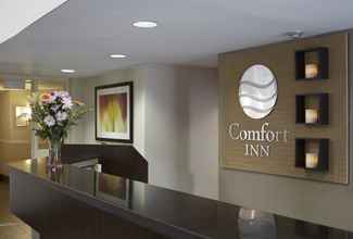Lobby 4 Comfort Inn Dryden