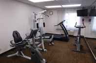 Fitness Center Days Inn & Suites by Wyndham Arlington Heights