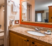 In-room Bathroom 3 Best Western Dulles Airport Inn