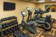 Fitness Center Courtyard by Marriott Chicago Wood Dale