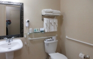 In-room Bathroom 7 Quality Inn Oneonta Cooperstown Area