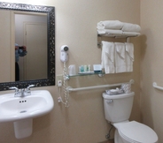 In-room Bathroom 7 Quality Inn Oneonta Cooperstown Area