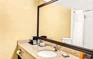 In-room Bathroom 6 Wyndham Garden Romulus Detroit Metro Airport