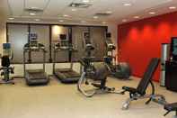 Fitness Center Embassy Suites by Hilton Detroit Metro Airport