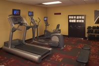 Fitness Center Courtyard by Marriott Detroit Metropolitan Airport Romulus