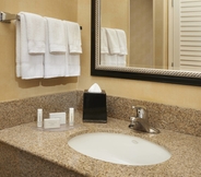 In-room Bathroom 5 Courtyard by Marriott Detroit Metropolitan Airport Romulus