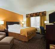 Phòng ngủ 5 Holiday Inn Knoxville-West, I-40 & I-75, an IHG Hotel