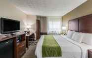Bedroom 7 Comfort Inn Medford - Long Island