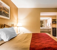 Bedroom 7 Econo Lodge Inn & Suites