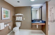 In-room Bathroom 7 Fairfield Inn By Marriott Amesbury