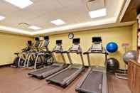 ห้องออกกำลังกาย Holiday Inn Mississauga Toronto West, an IHG Hotel