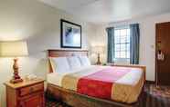 Bilik Tidur 5 Rodeway Inn New Braunfels