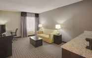 Kamar Tidur 5 La Quinta Inn & Suites by Wyndham Detroit Metro Airport