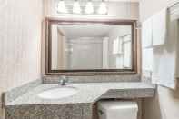 In-room Bathroom Days Inn by Wyndham Niles