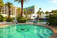 Swimming Pool Horseshoe Las Vegas