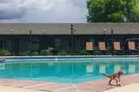 Swimming Pool Dinosaur Inn & Suites