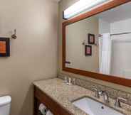 Phòng tắm bên trong 6 Comfort Inn & Suites Carbondale on the Roaring Fork