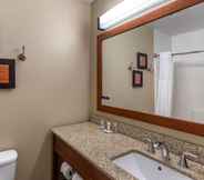 Bilik Mandi dalam Bilik 6 Comfort Inn & Suites Carbondale on the Roaring Fork