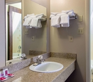 In-room Bathroom 5 Econo Lodge