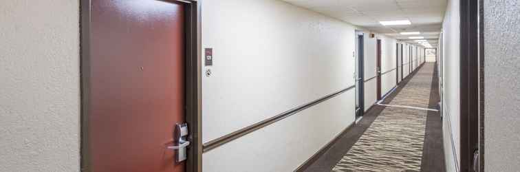 Lobby Red Roof Inn Knoxville Central - Papermill Road