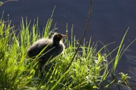 Common Space ibis Mulhouse Centre Filature