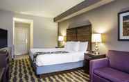 Bedroom 5 La Quinta Inn & Suites by Wyndham Lynchburg at Liberty Univ.