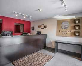 Lobby 4 Comfort Inn Ottawa East