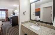 In-room Bathroom 2 Baymont by Wyndham South Haven