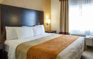 Bilik Tidur 5 Comfort Inn And Suites Paw Paw