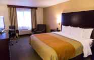 Bedroom 4 Comfort Inn And Suites Paw Paw