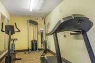 Fitness Center Quality Inn & Suites