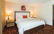 Bedroom 7 Hawthorn Suites by Wyndham Allentown-Fogelsville