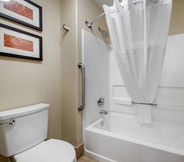 In-room Bathroom 7 Comfort Suites Lakewood - Denver