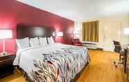 Kamar Tidur 4 Red Roof Inn Clarksville