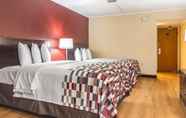 Bedroom 7 Red Roof Inn Ashtabula - Austinburg