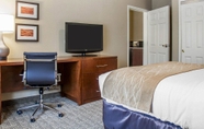 ห้องนอน 7 Comfort Inn & Suites Sturbridge - Brimfield